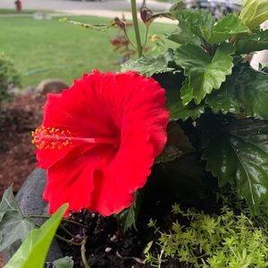 Meet your Posher, Noor